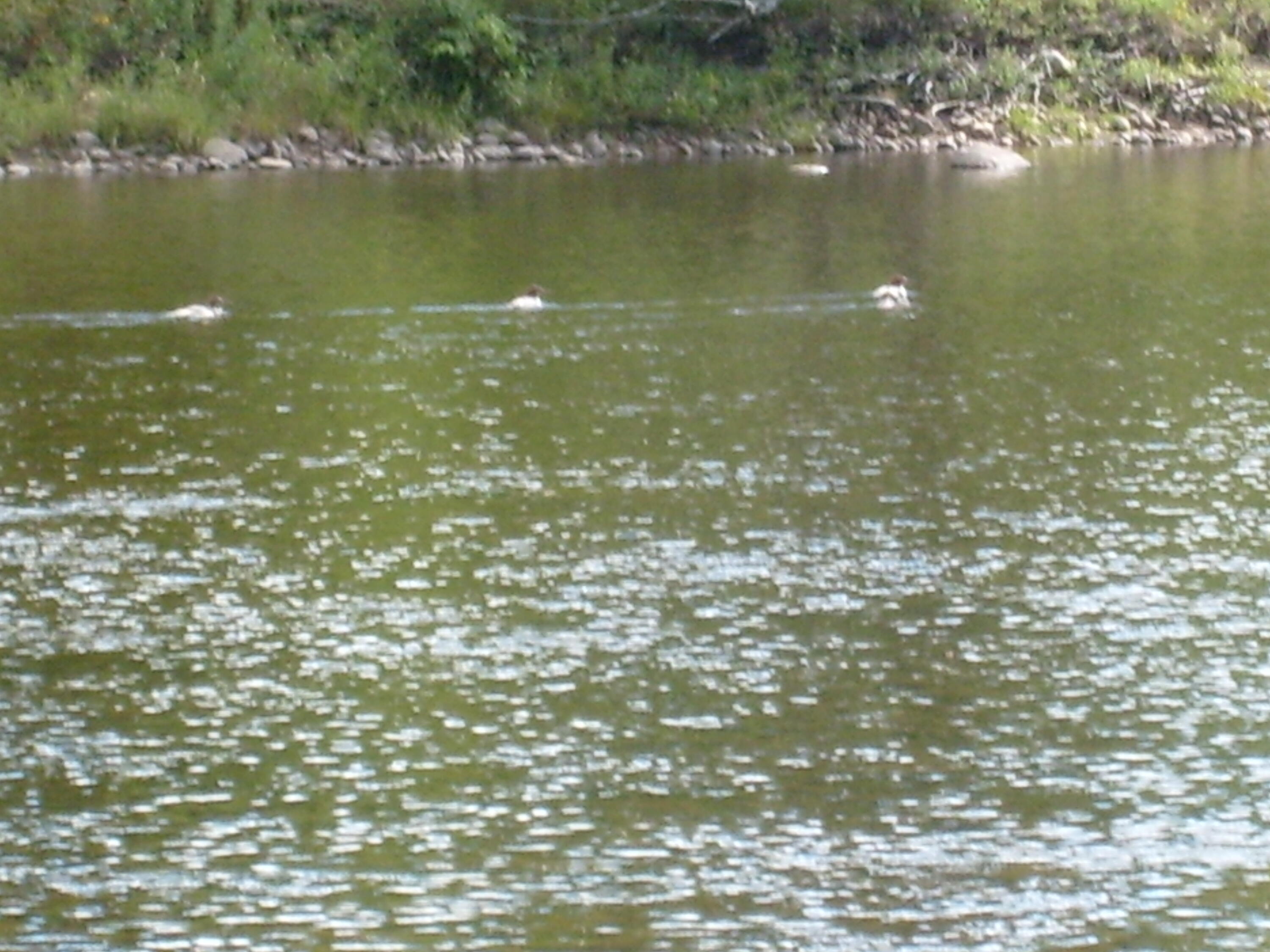 0 New York 9n Au Sable Forks NY 12912