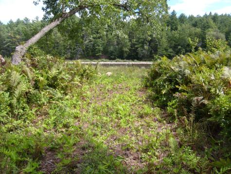0 New York 9n Au Sable Forks NY 12912