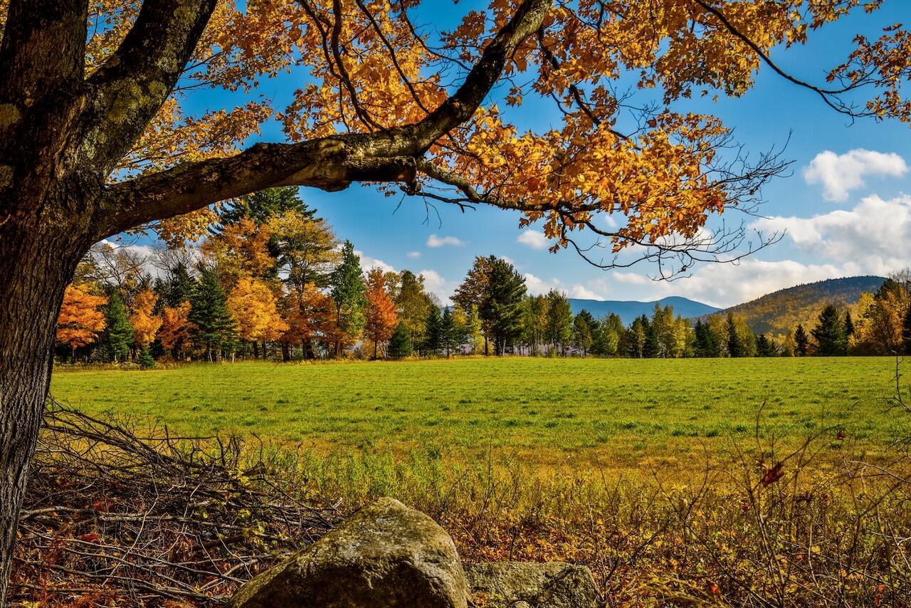22 Far Horizon Drive Lake Placid NY 12946