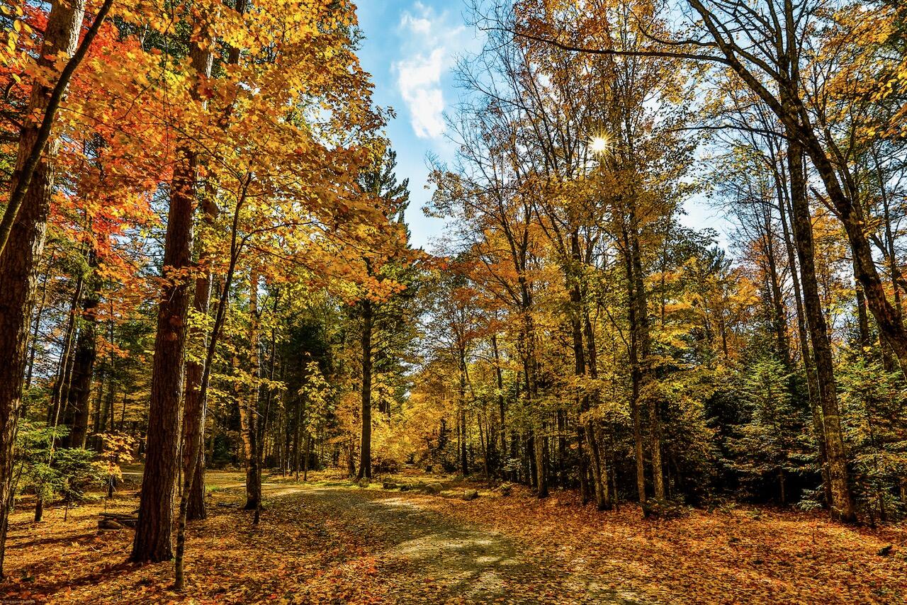 22 Far Horizon Drive Lake Placid NY 12946