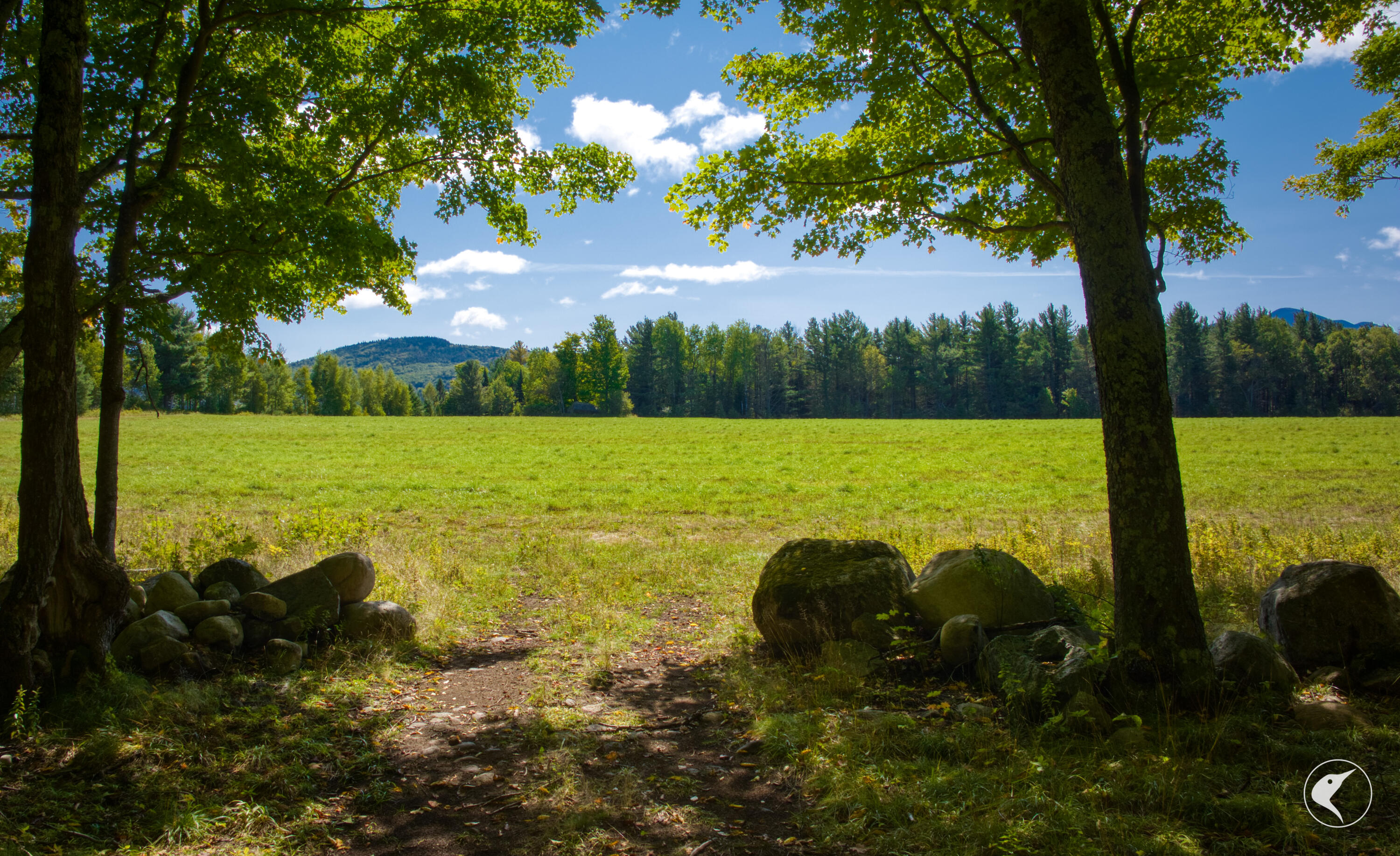 22 Far Horizon Drive Lake Placid NY 12946