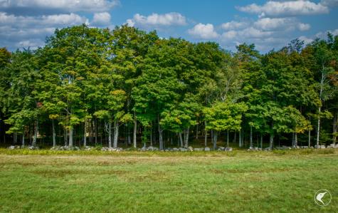 22 Far Horizon Drive Lake Placid NY 12946