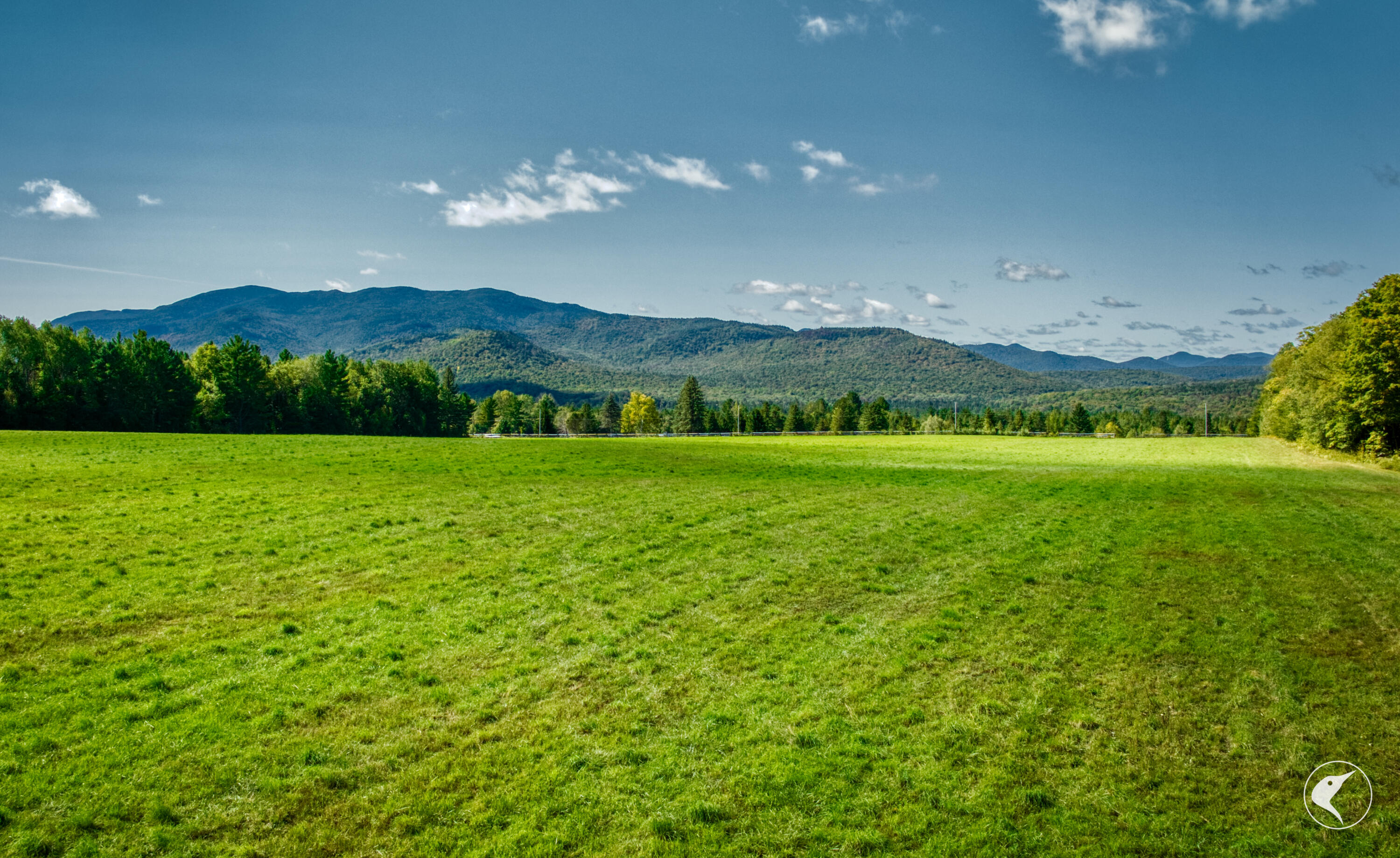 22 Far Horizon Drive Lake Placid NY 12946