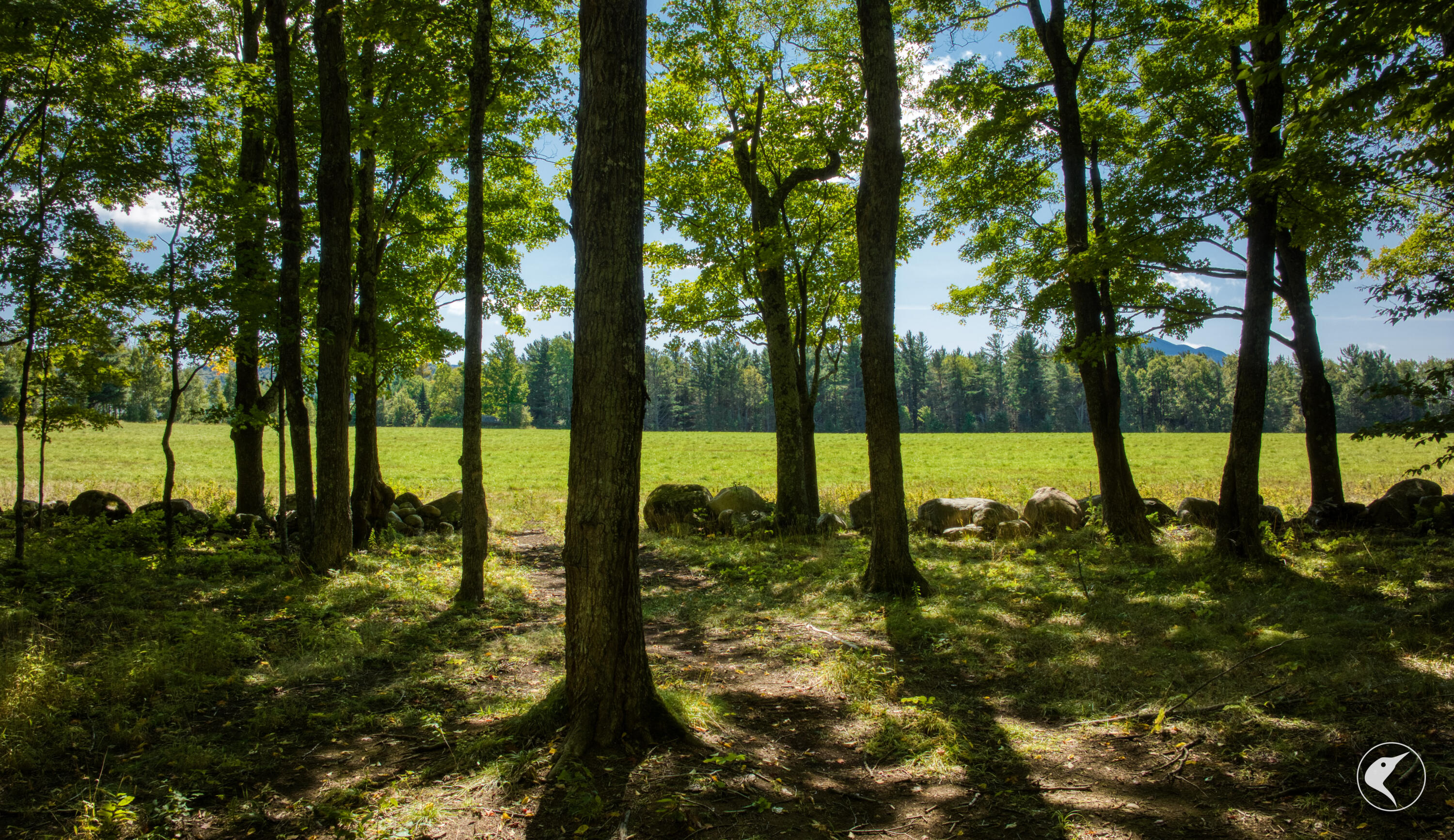 22 Far Horizon Drive Lake Placid NY 12946