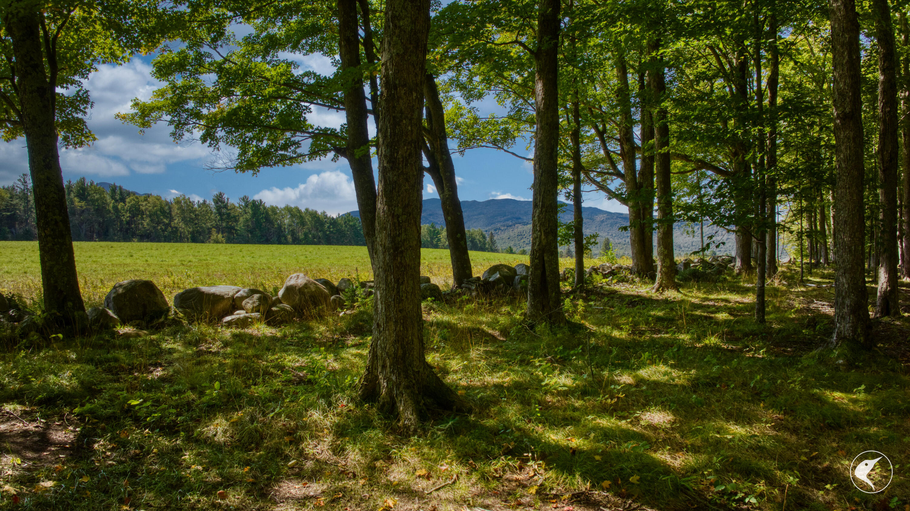 22 Far Horizon Drive Lake Placid NY 12946