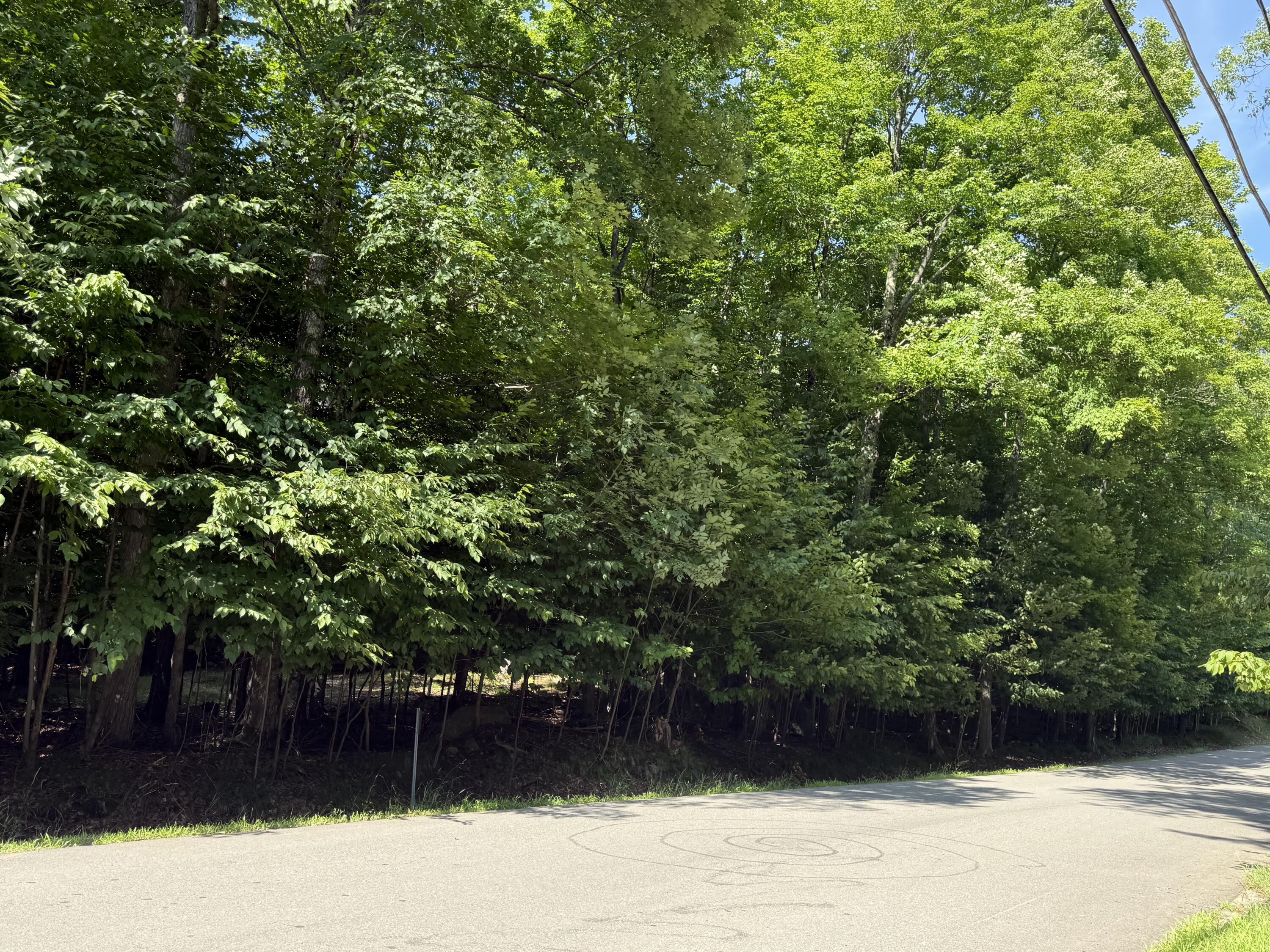 0 Indian Rock Trail Saranac Lake NY 12983