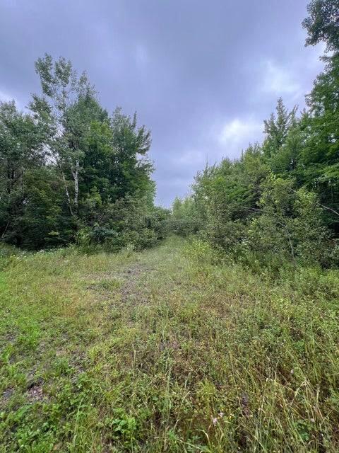 . Clinton Mills Road Churubusco NY 12923