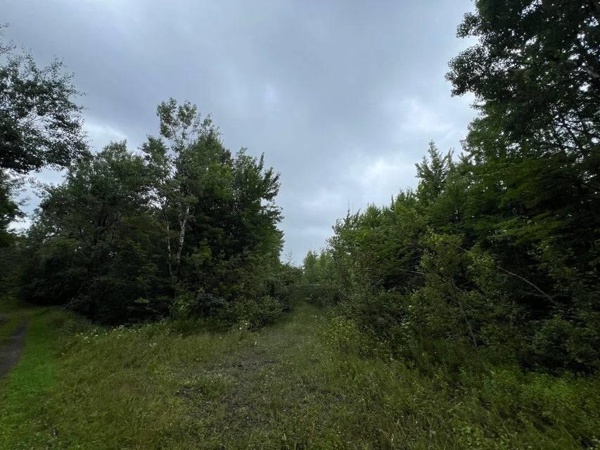 . Clinton Mills Road Churubusco NY 12923
