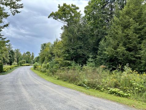 0 Bluff Point Drive Lot 46 Plattsburgh NY 12901
