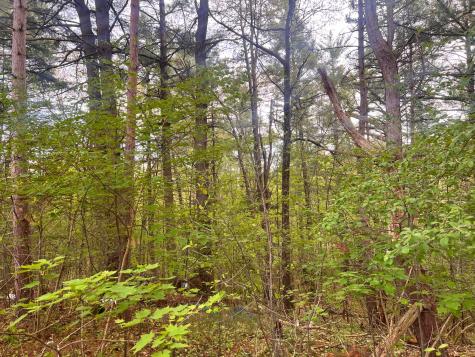 0 Laflure Lane Keeseville NY 12944