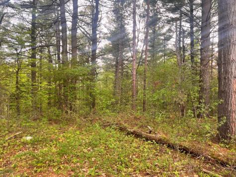 0 Laflure Lane Keeseville NY 12944