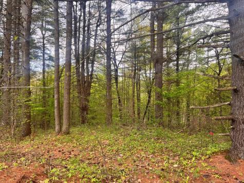 0 Laflure Lane Keeseville NY 12944