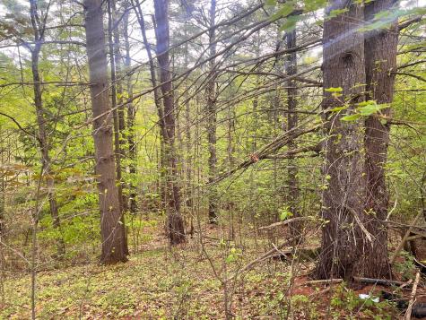 0 Laflure Lane Keeseville NY 12944