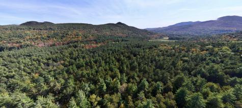 Lot 2 Hardy Road Wilmington NY 12997