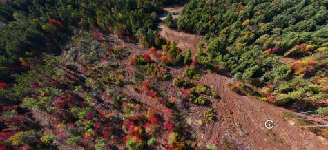 Lot 2 Hardy Road Wilmington NY 12997