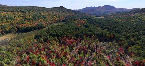 Lot 2 Hardy Road Wilmington NY 12997