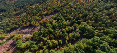 Lot 2 Hardy Road Wilmington NY 12997