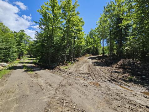 86 Maple Ridge Way Keene NY 12942