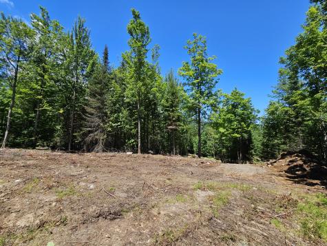 86 Maple Ridge Way Keene NY 12942