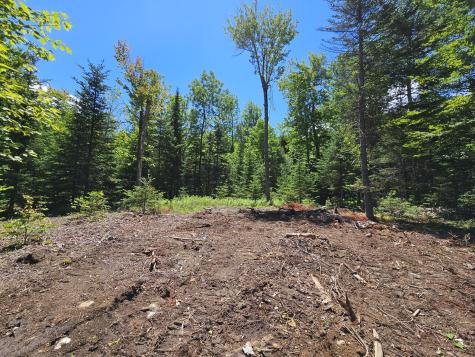 86 Maple Ridge Way Keene NY 12942