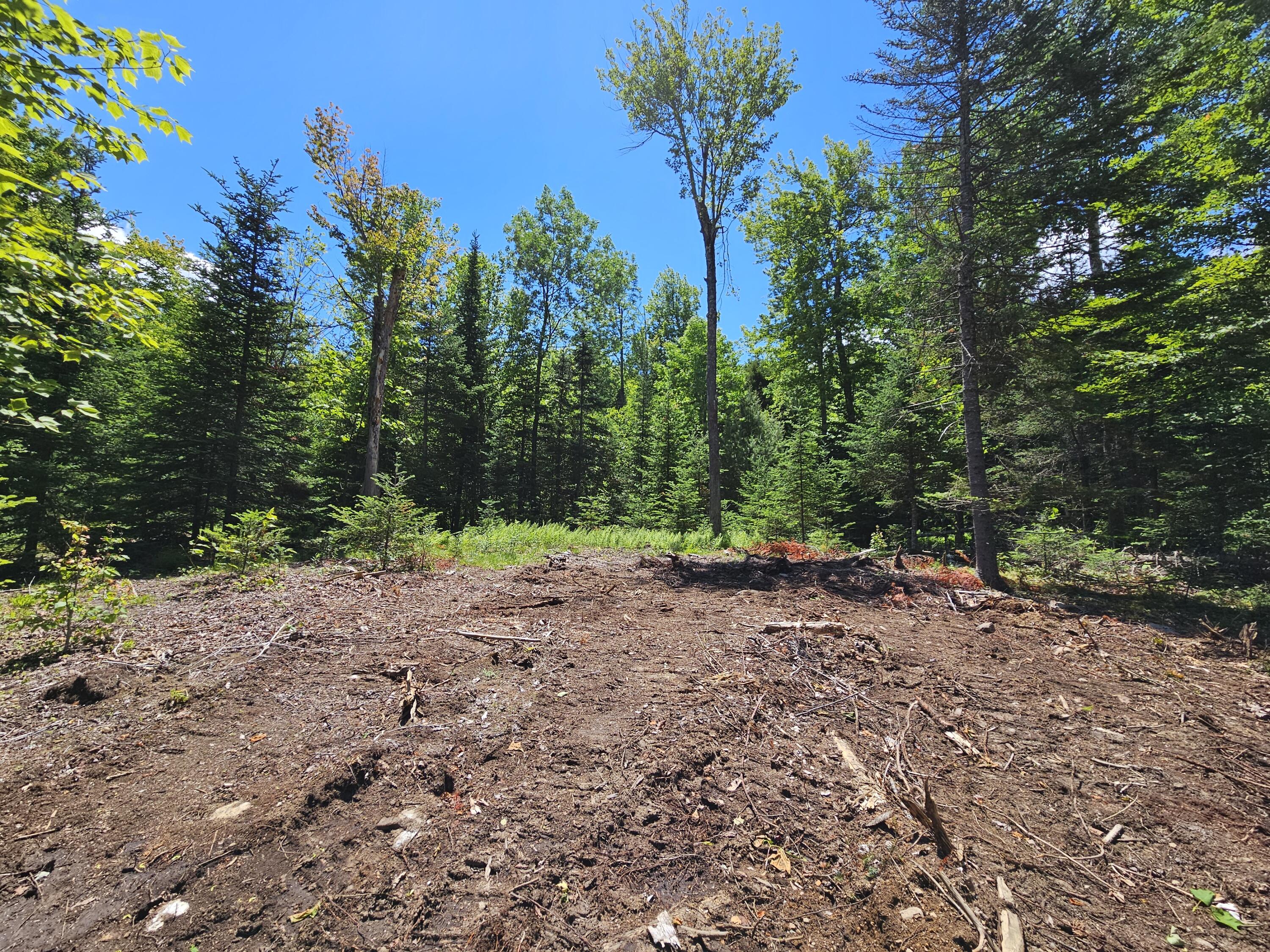 86 Maple Ridge Way Keene NY 12942