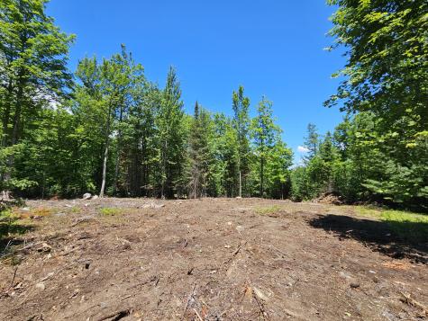 86 Maple Ridge Way Keene NY 12942