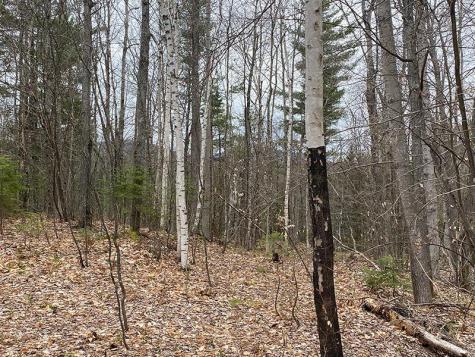 Lot 2 Route 26 Loon Lake NY 12989