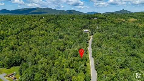 Lot 2 Route 26 Loon Lake NY 12989