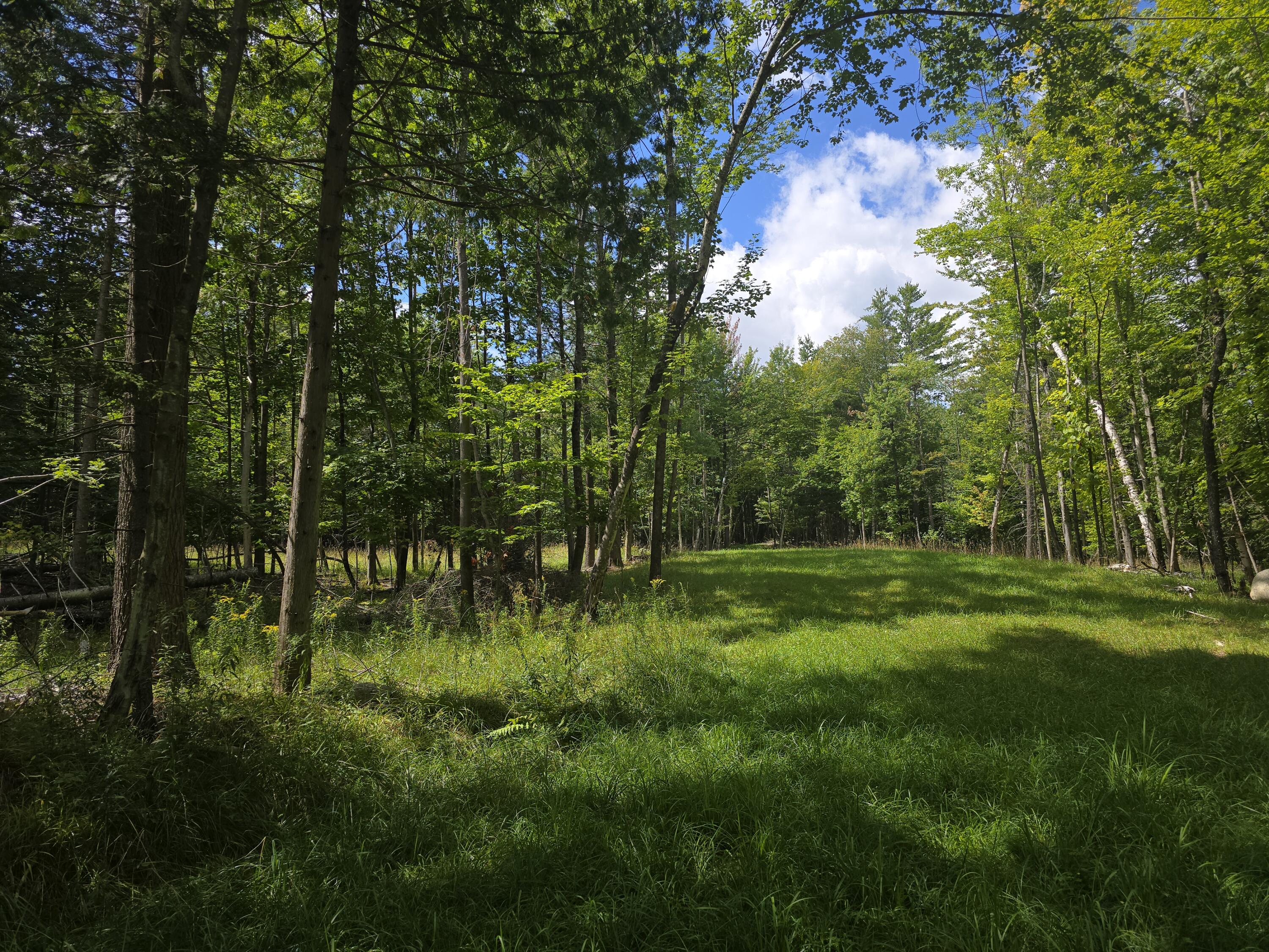 520 Trumbulls Road Jay NY 12941