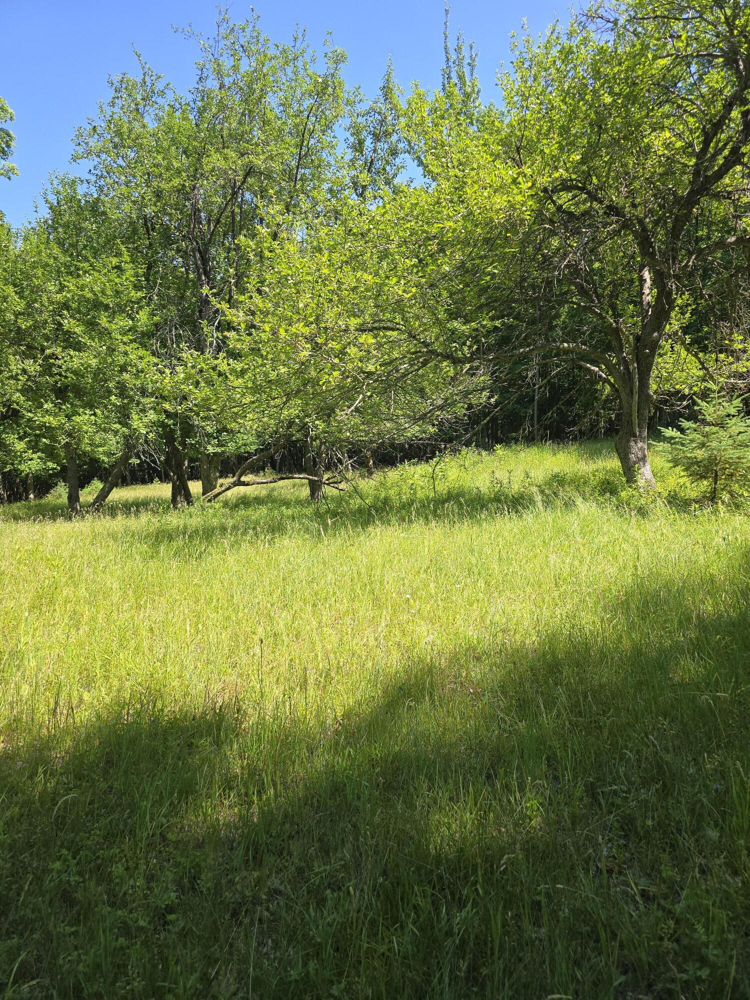 520 Trumbulls Road Jay NY 12941