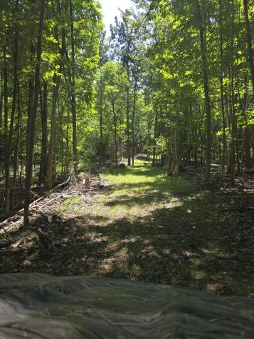 520 Trumbulls Road Jay NY 12941