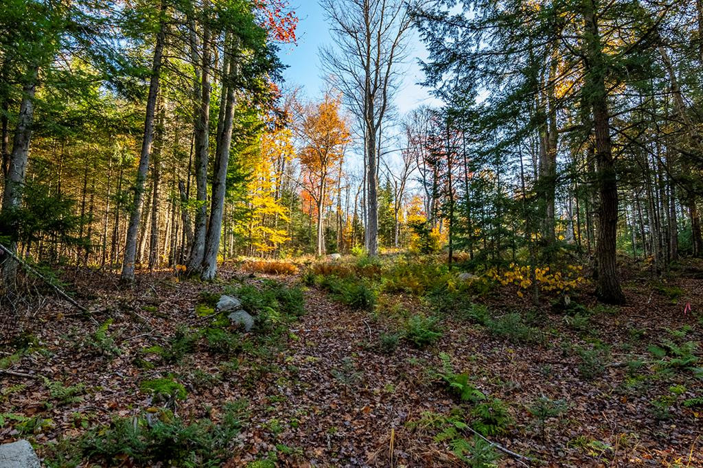 41 Mount Whitney Way Lake Placid NY 12946
