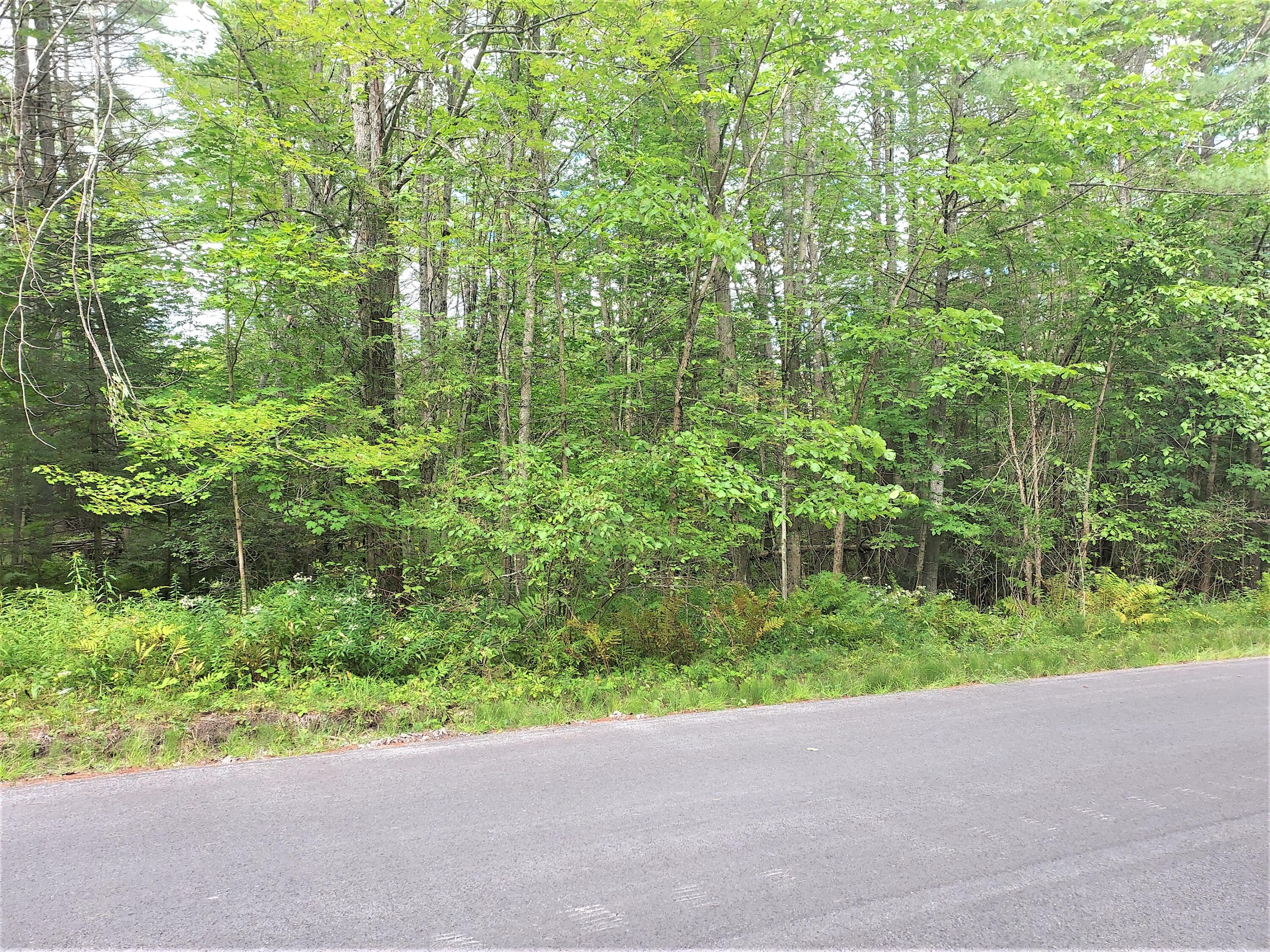 0 Steele Woods Road Westport NY 12950