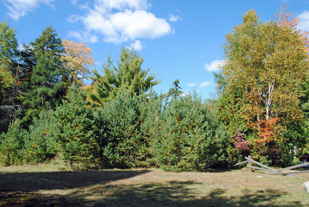 0 Edgewood Road Route 3 Saranac Lake NY 12983