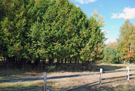 0 Edgewood Road Route 3 Saranac Lake NY 12983