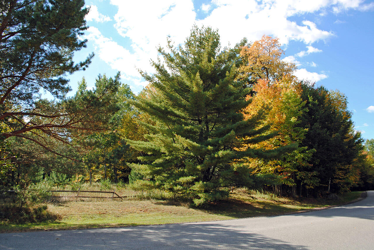 0 Edgewood Road Route 3 Saranac Lake NY 12983