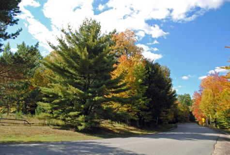 0 Edgewood Road Route 3 Saranac Lake NY 12983