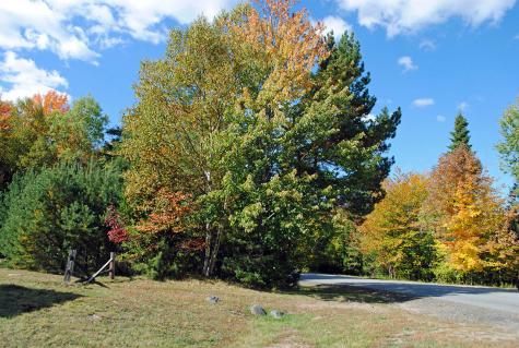 0 Edgewood Road Route 3 Saranac Lake NY 12983