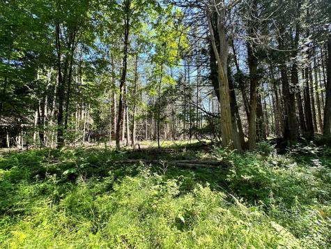 0 Mellow Way (Lot #5) Wilmington NY 12997