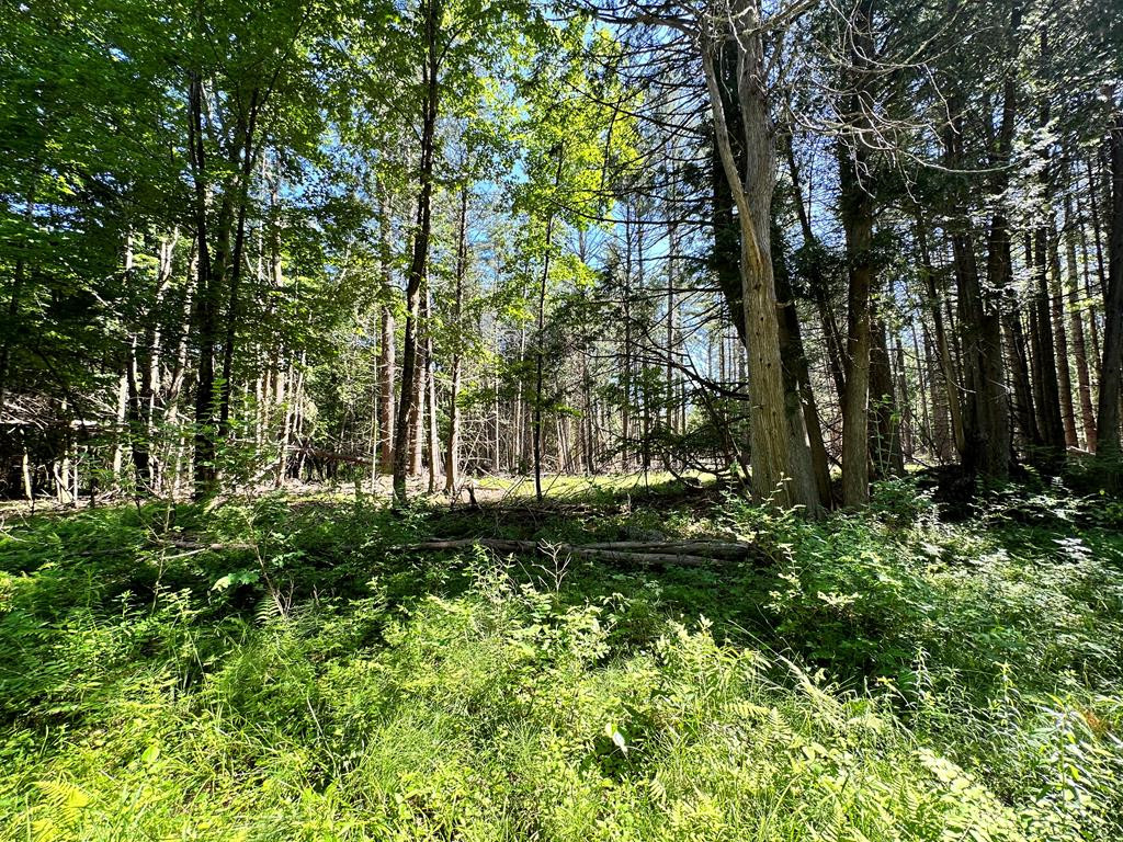 0 Mellow Way (Lot #5) Wilmington NY 12997