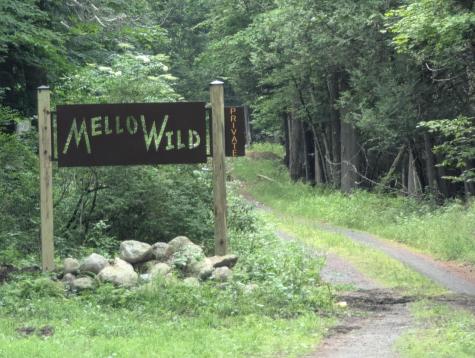 0 Mellow Way (Lot #5) Wilmington NY 12997