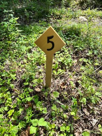 0 Mellow Way (Lot #5) Wilmington NY 12997
