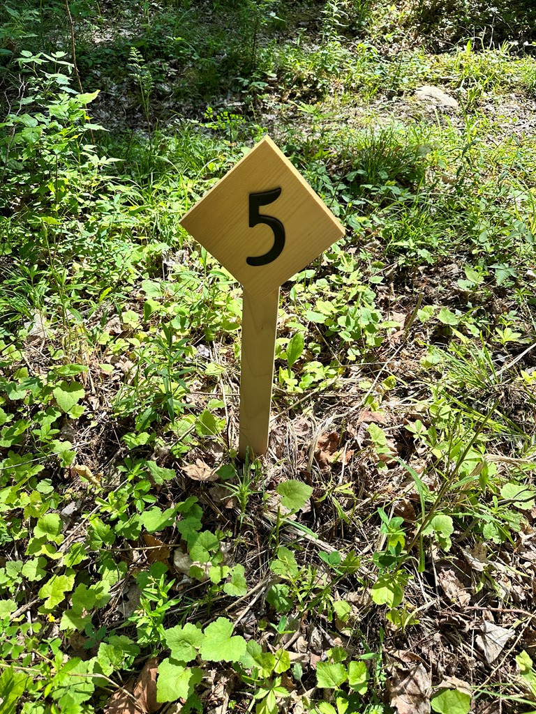 0 Mellow Way (Lot #5) Wilmington NY 12997