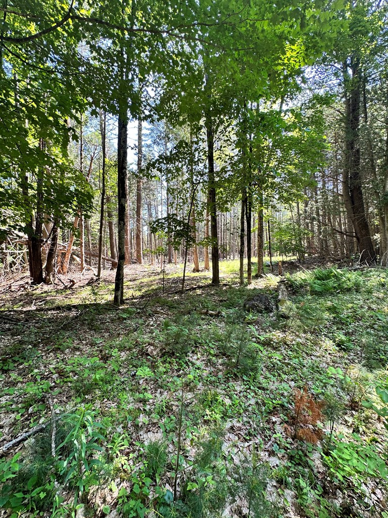 0 Mellow Way (Lot #5) Wilmington NY 12997