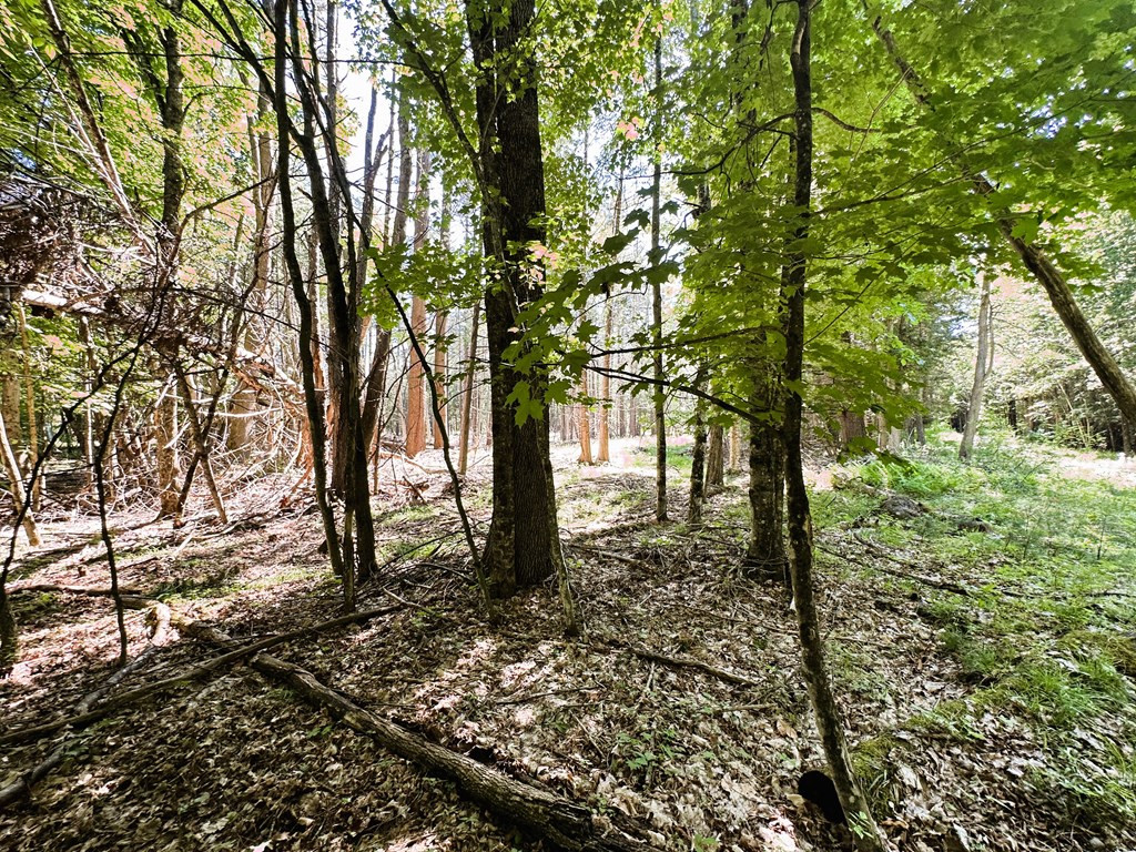 0 Mellow Way (Lot #5) Wilmington NY 12997