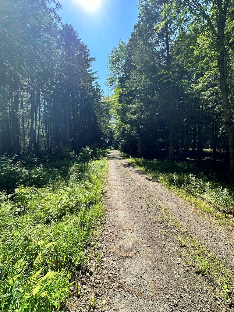 0 Mellow Way (Lot #5) Wilmington NY 12997