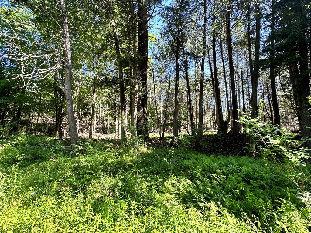 0 Mellow Way (Lot #5) Wilmington NY 12997