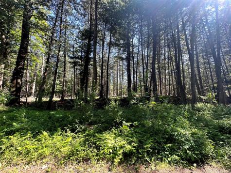 0 Mellow Way (Lot #5) Wilmington NY 12997