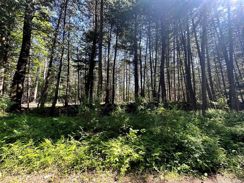 0 Mellow Way (Lot #5) Wilmington NY 12997