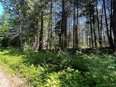 0 Mellow Way (Lot #5) Wilmington NY 12997